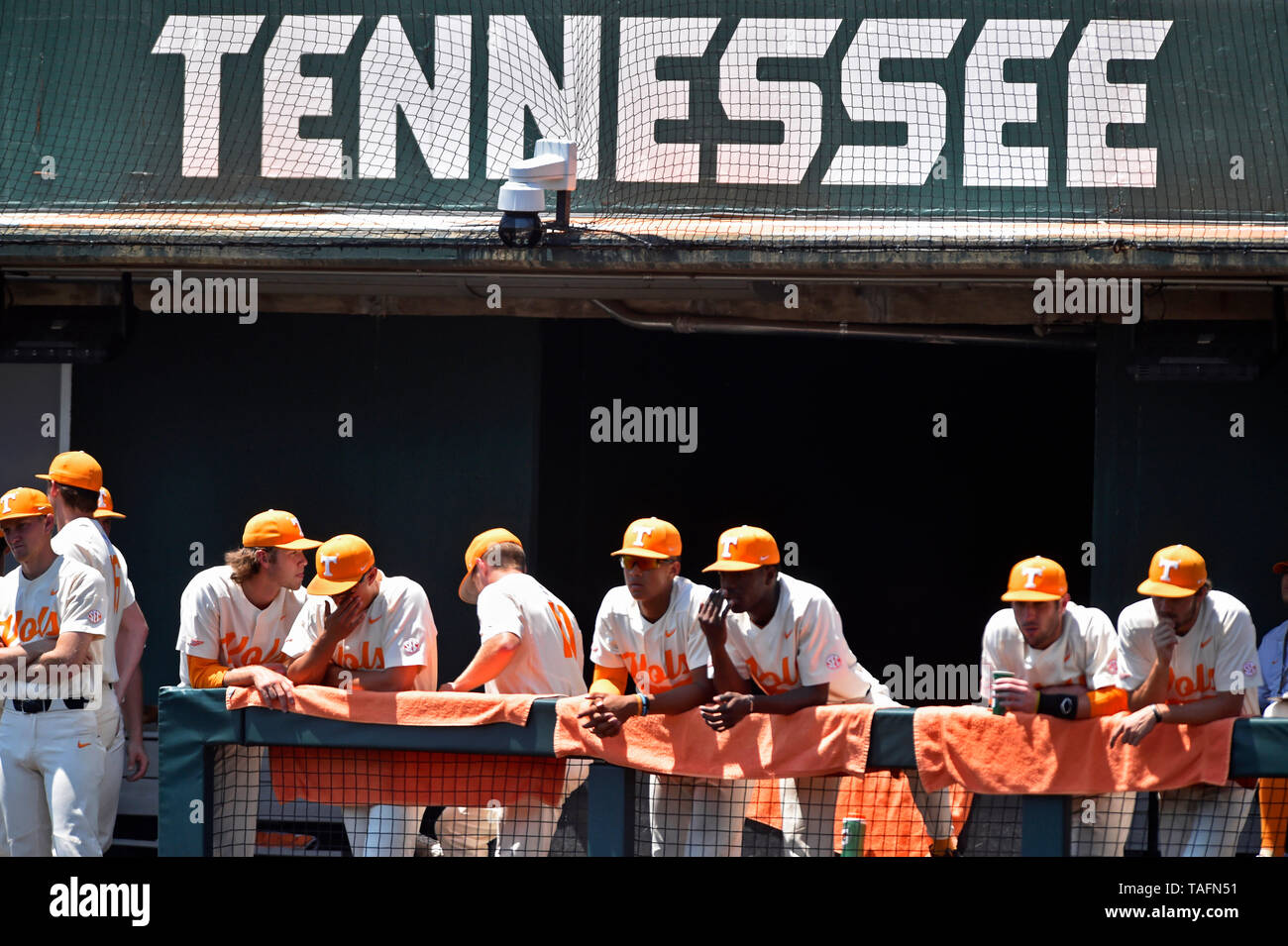 Lindsey nelson stadium hires stock photography and images Alamy