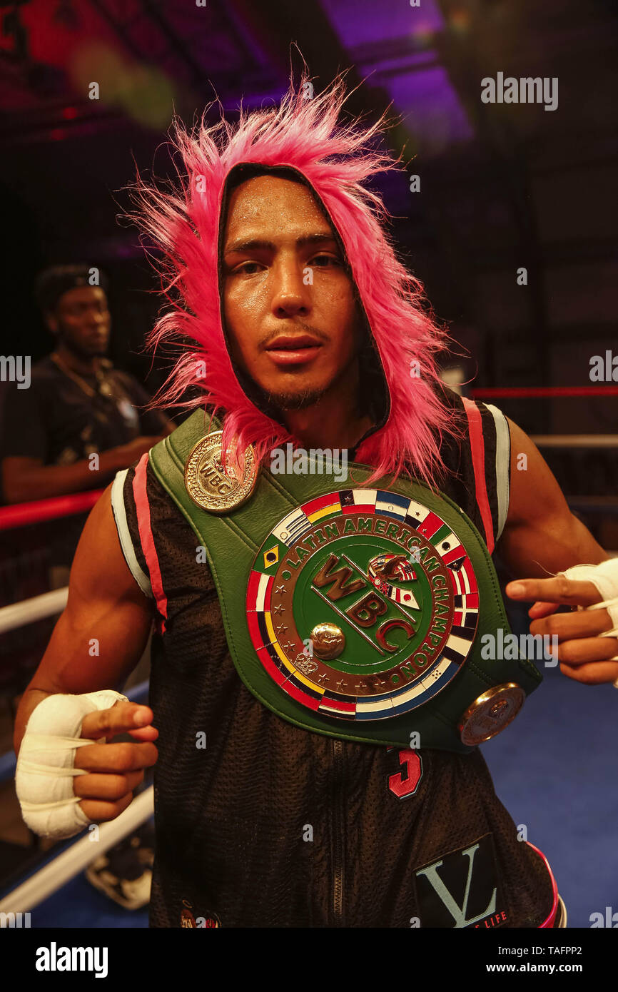 Miami, Florida, USA. 24th May, 2019. WBC Latin America Welterweight champion  HAROLD CALDERON poses for photos with his belt after winning the title.  Credit: Adam DelGiudice/ZUMA Wire/Alamy Live News Stock Photo -