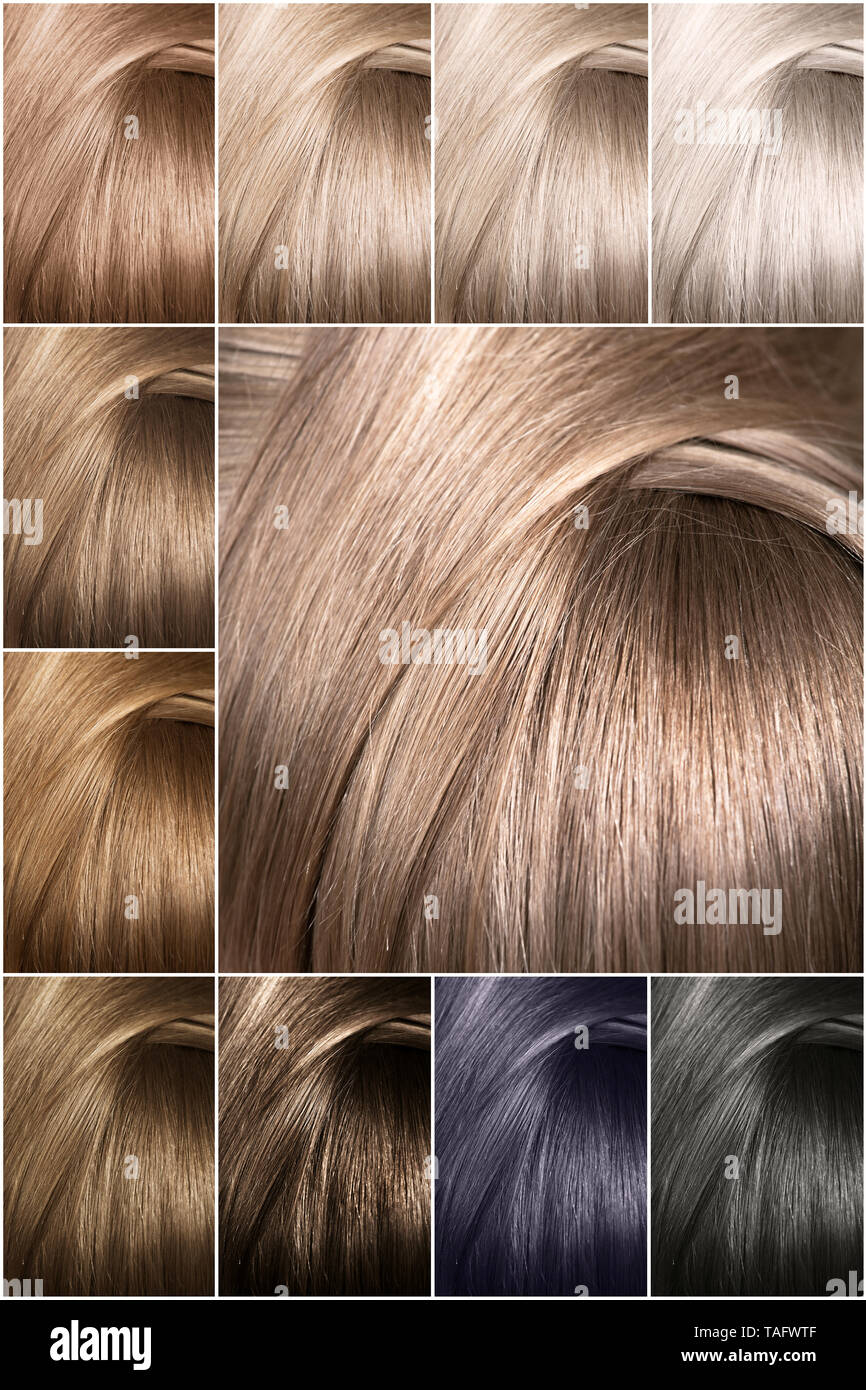 Color chart for tints. Hair color palette with a wide range of swatches.  Dyed hair color samples arranged on a card in neat rows. Tints. Colour set.  H Stock Photo - Alamy