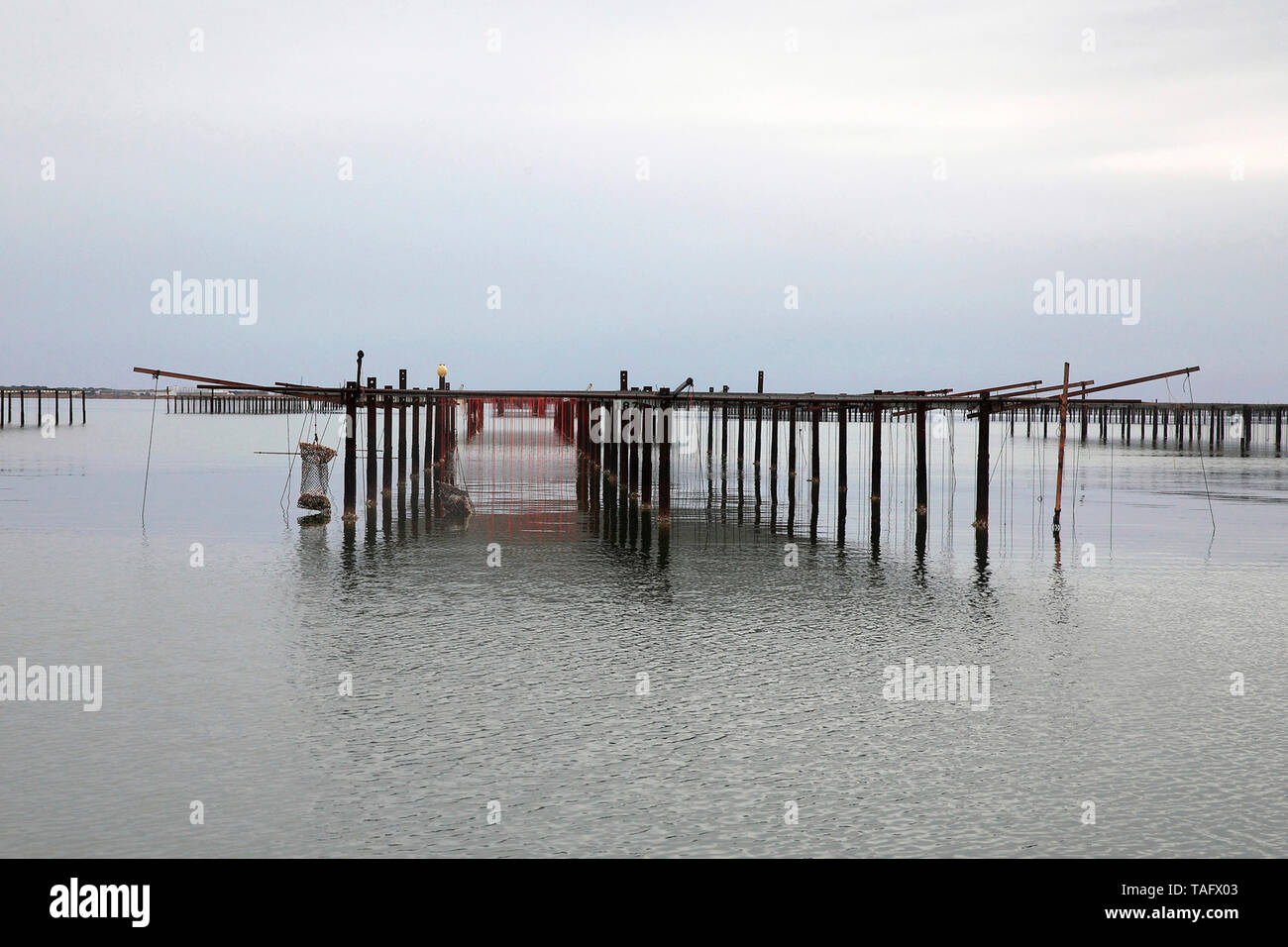 Oysters park on Etang de Thau, Herault, France Stock Photo