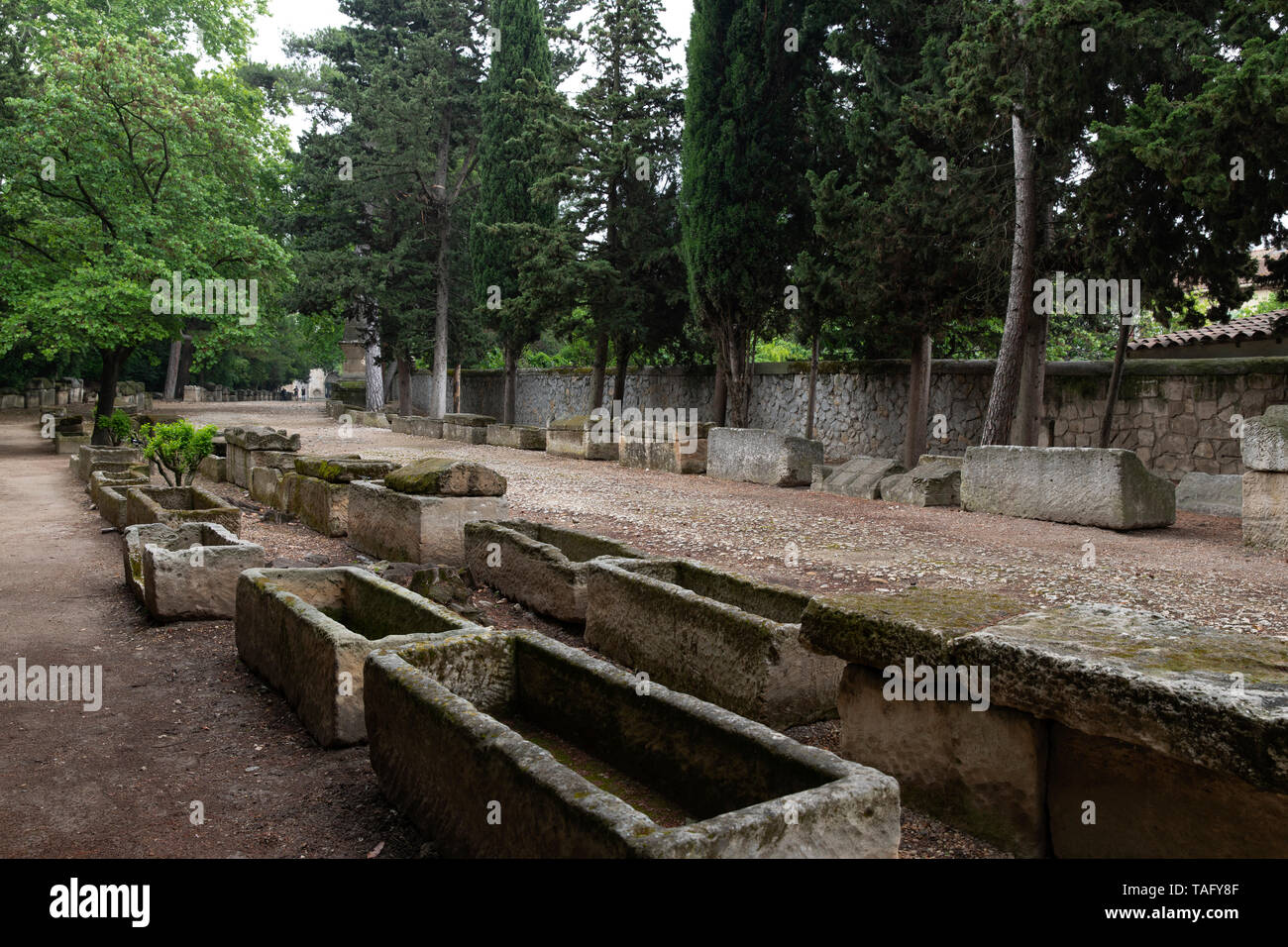 The Alyscamps, Arles, France Stock Photo - Alamy