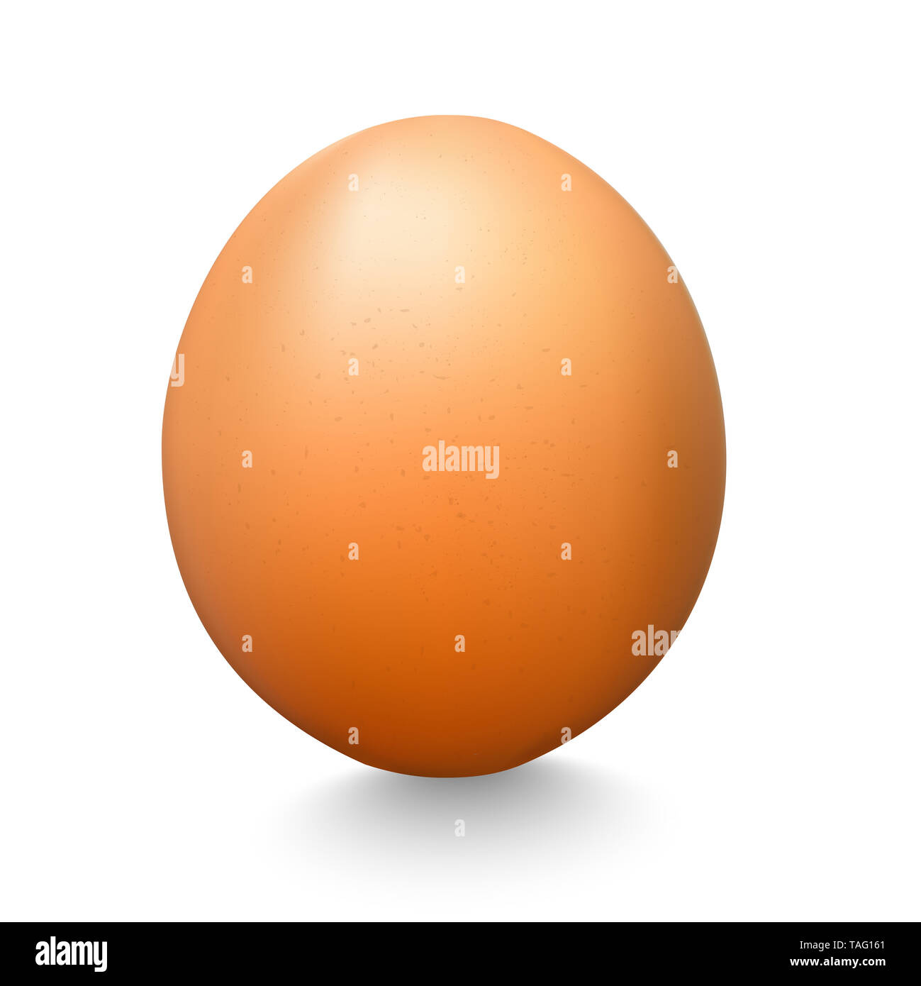 Many different bird eggs hires stock photography and images Alamy