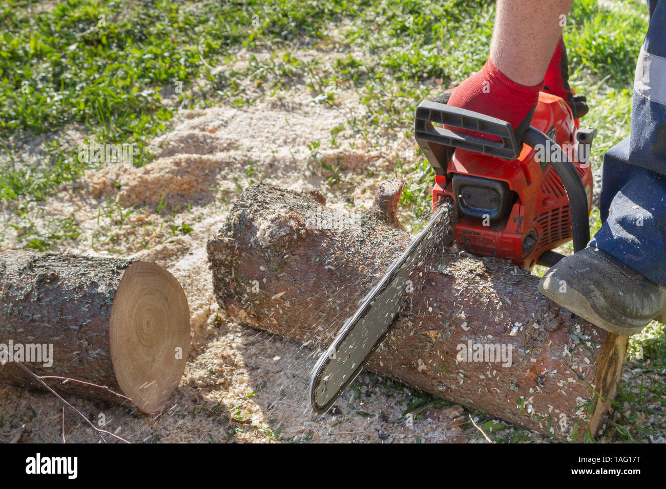 Chainsaw parts hi-res stock photography and images - Alamy