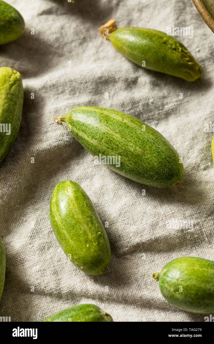 Indian Squash Vegetable