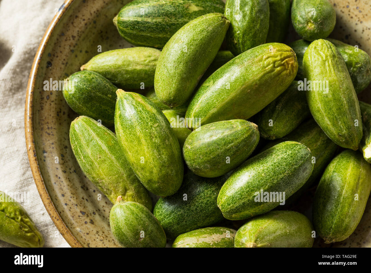 Indian Squash Vegetable