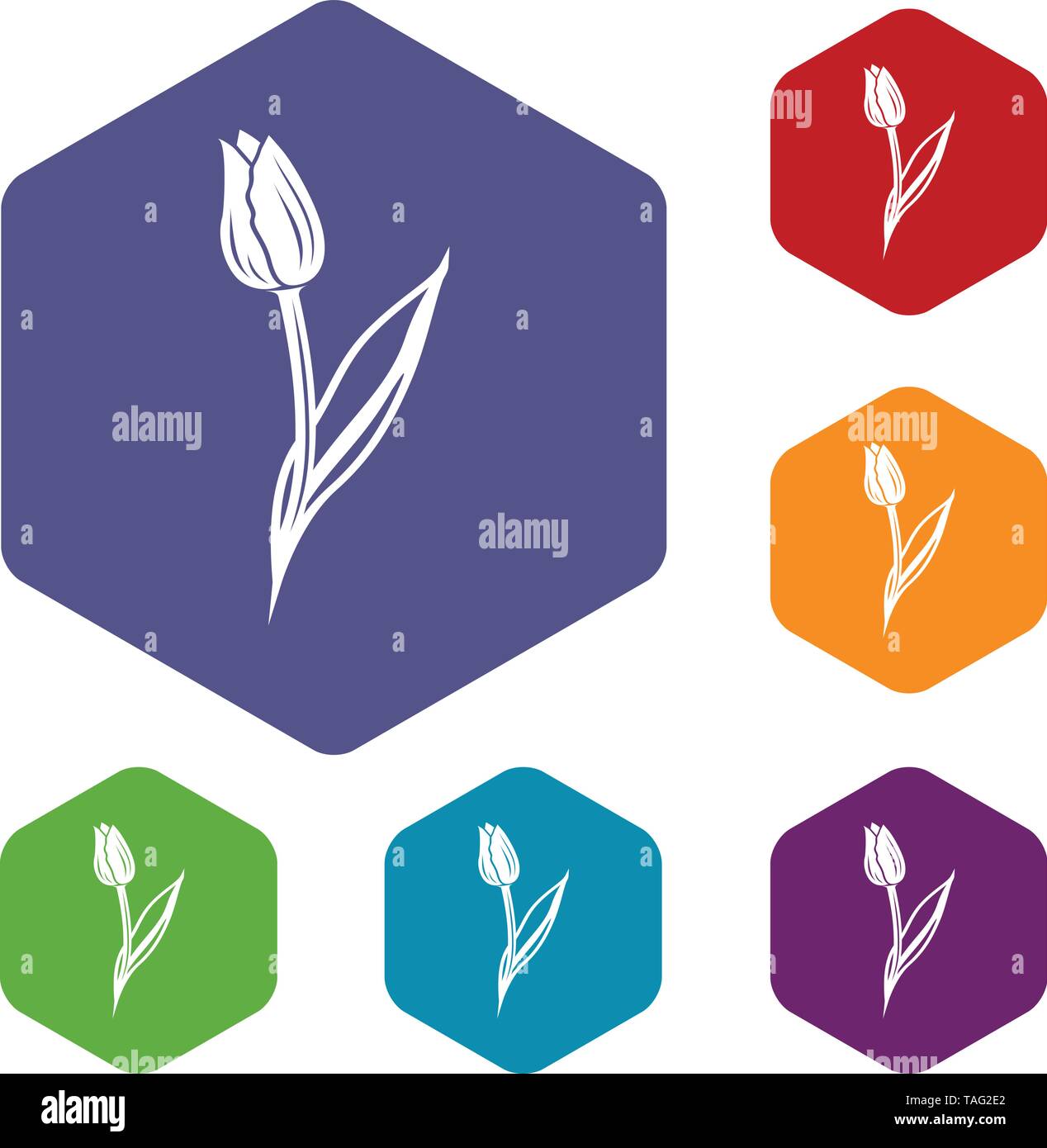 Tulip icons vector hexahedron Stock Vector