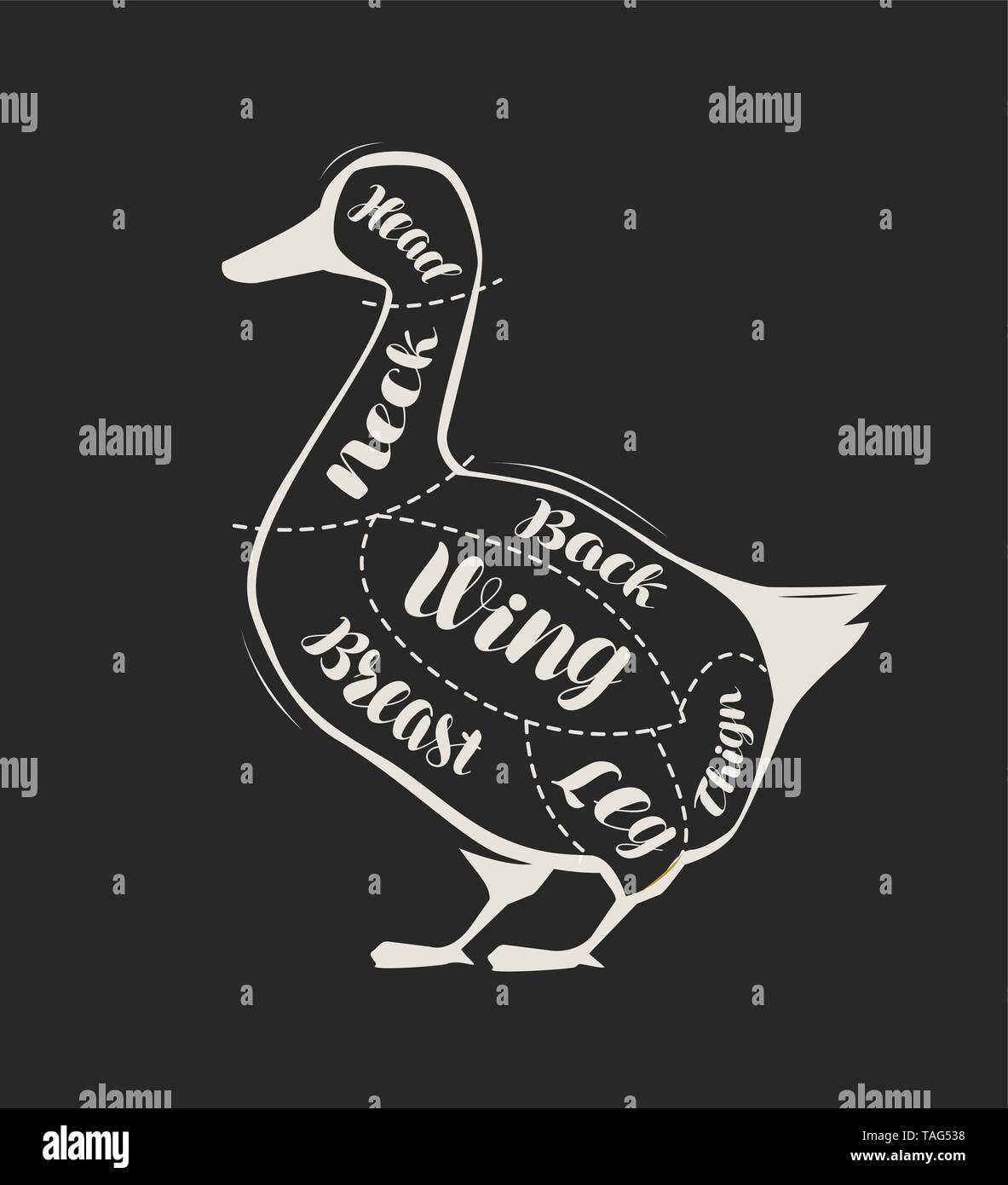Diagram guide for cutting duck meat drawn on the blackboard. Menu for restaurant or butcher shop Stock Vector