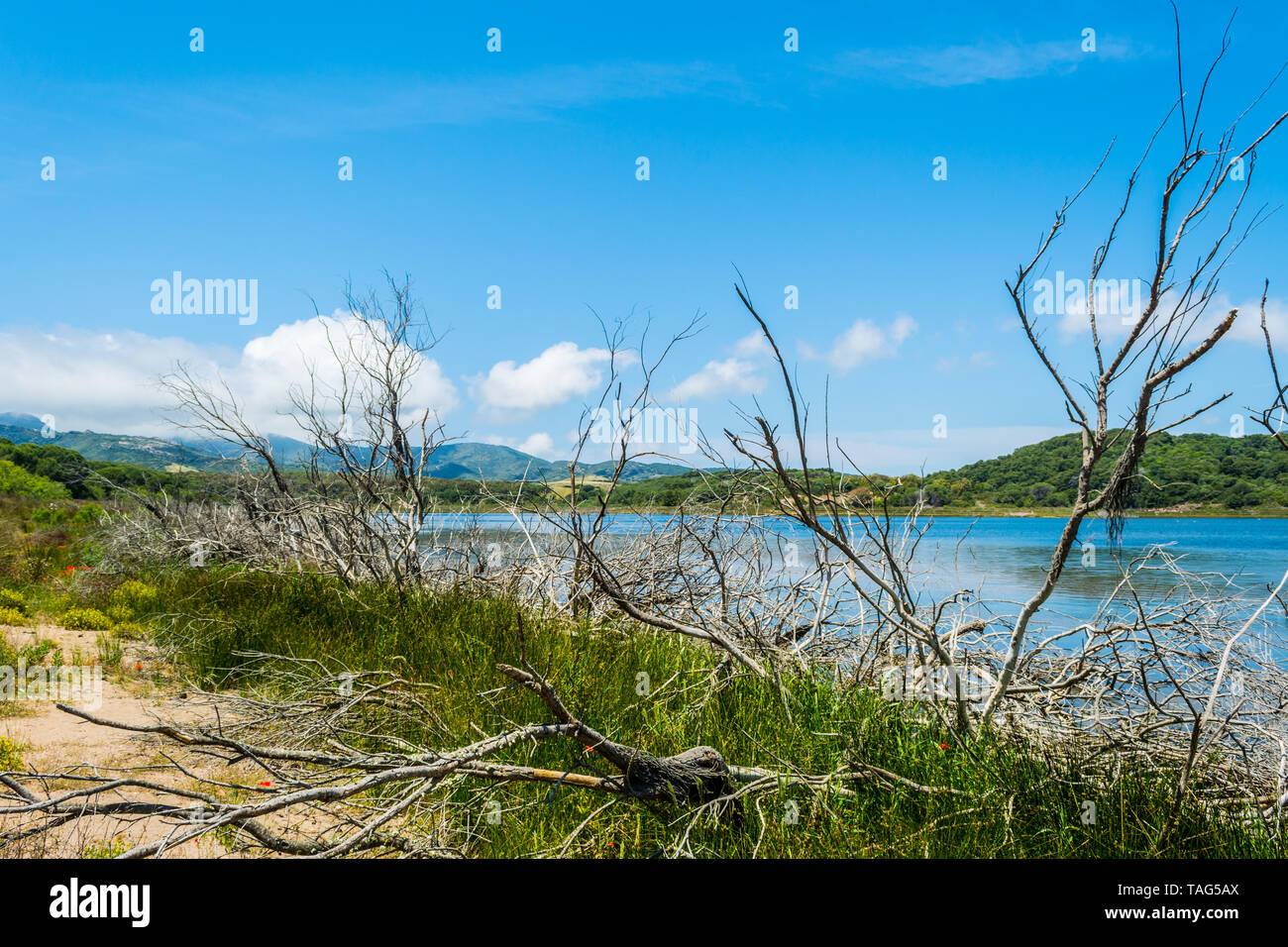 Landscape of Lake Baratz in Sardinia, near the city of Alghero, in a sunny day Stock Photo