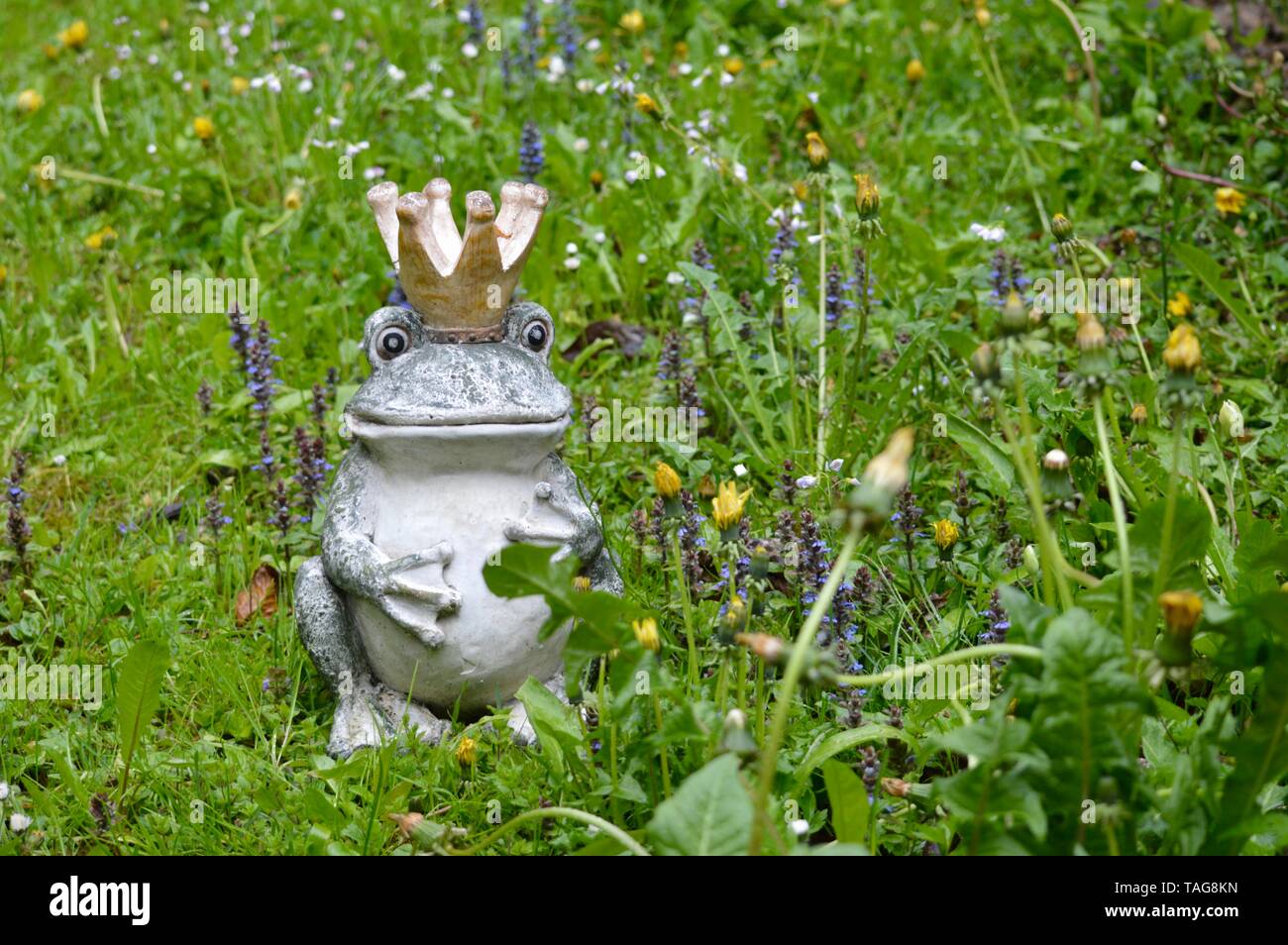 Funny little frog statue hi-res stock photography and images - Alamy Funny little frog statue hi-res stock photography and images - Alamy