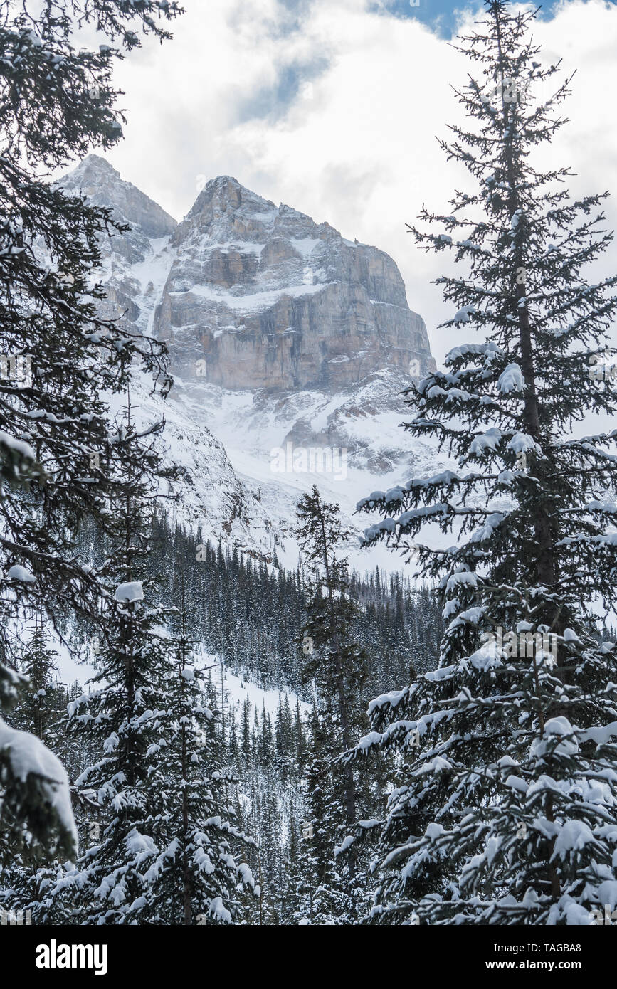 Lake Louise in Banff Park in winter time, Alberta, Canada Stock Photo ...