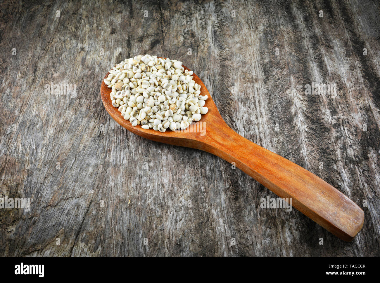 Job's tears coix lachryma jobi grain seeds on wooden spoon on rustic wood background Stock Photo