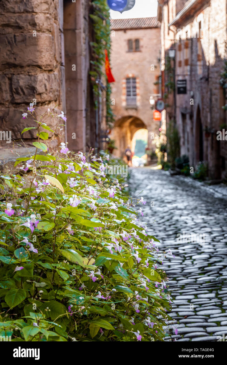 Pretty flowers in the street of a French village Stock Photo