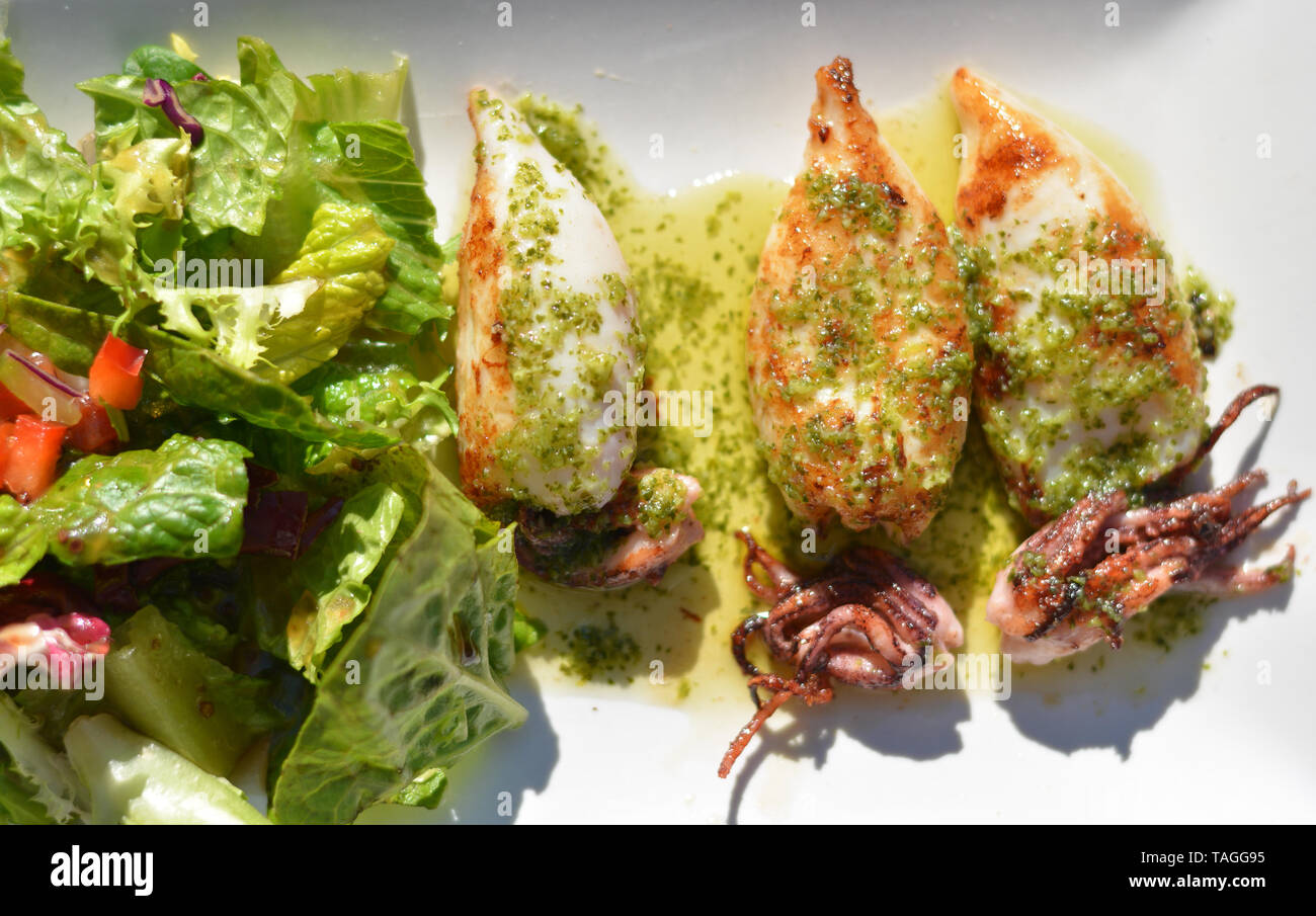 Chipirones a la plancha hi-res stock photography and images - Alamy