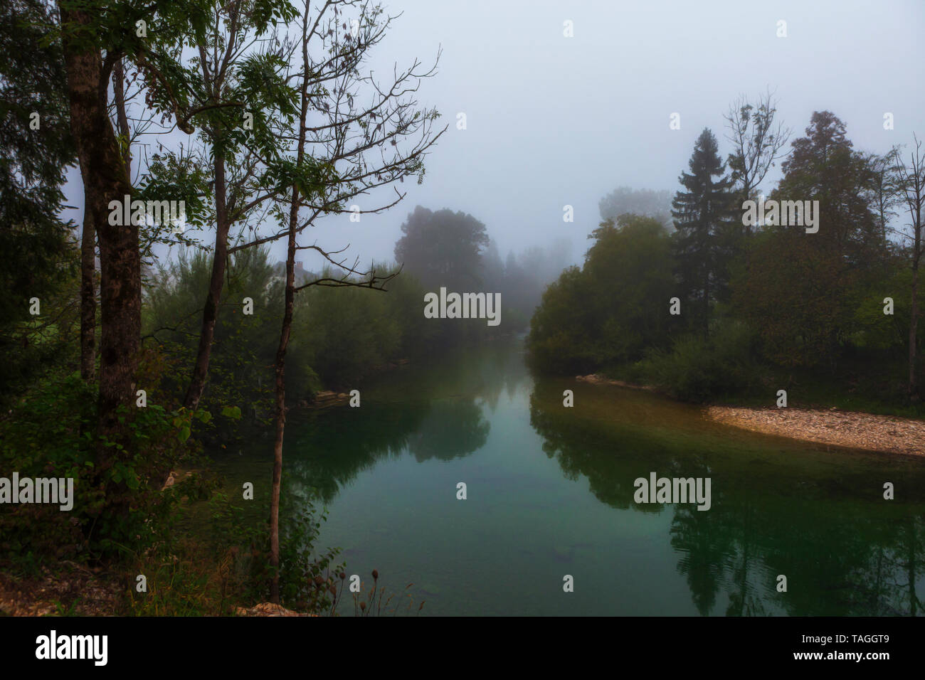 The river among trees in dense morning fog in the autumn. Art photography in dark, cold colors. Stock Photo