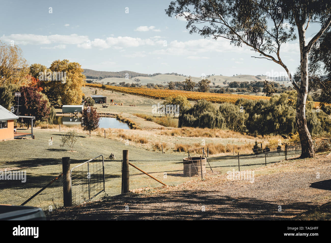 Scenic Australian countryside at Courabyra Wines, Tumbarumba NSW Stock Photo