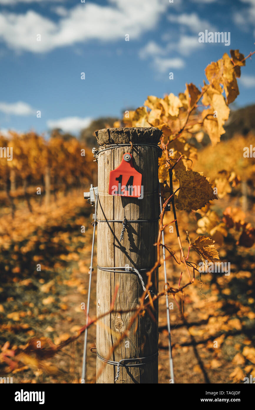 Vineyard fence post at Courabyra Winery, Tumbarumba NSW Stock Photo