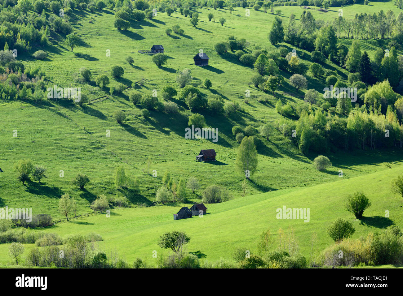 Idyllic green meadows, whit small houses and hay barns. Spring sunny grassy field.  Idyllic green valleys in mountain area. Stock Photo
