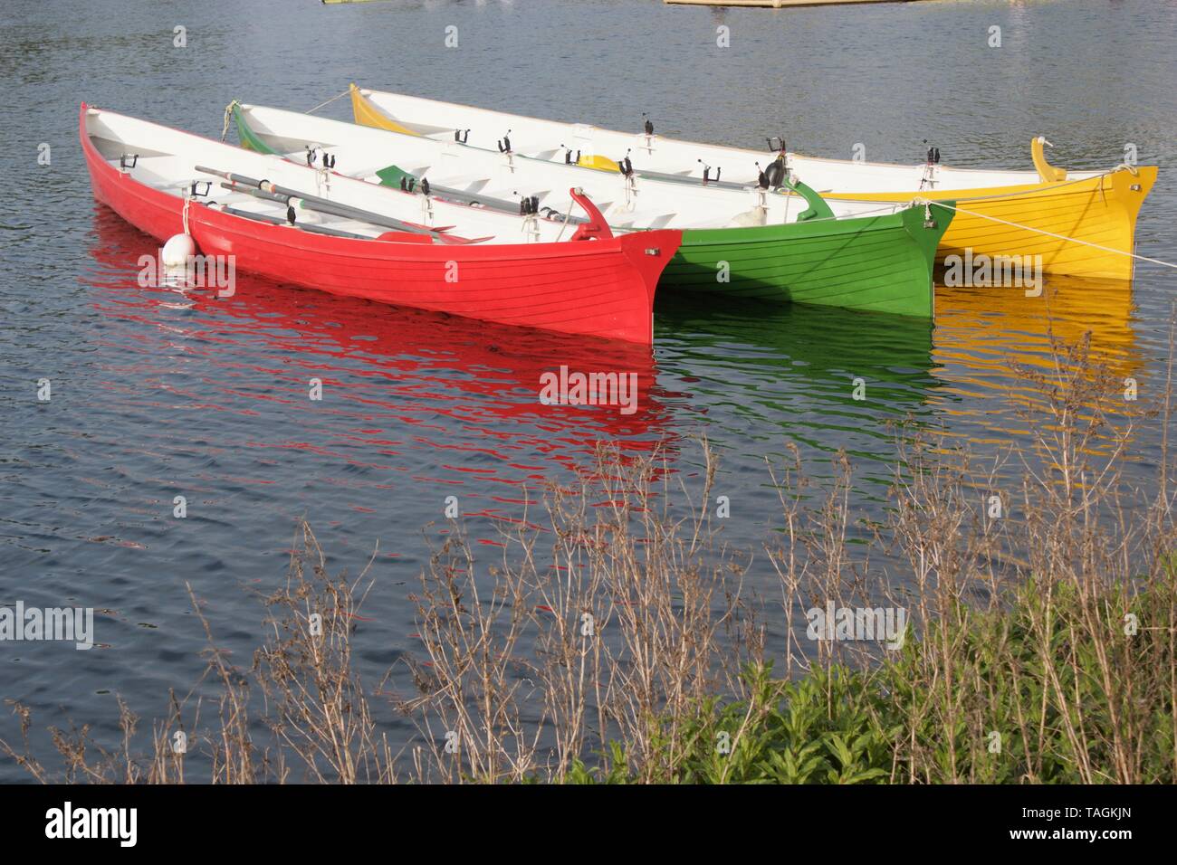 Brightly coloured wooden rowing boats tethered on still water Stock Photo