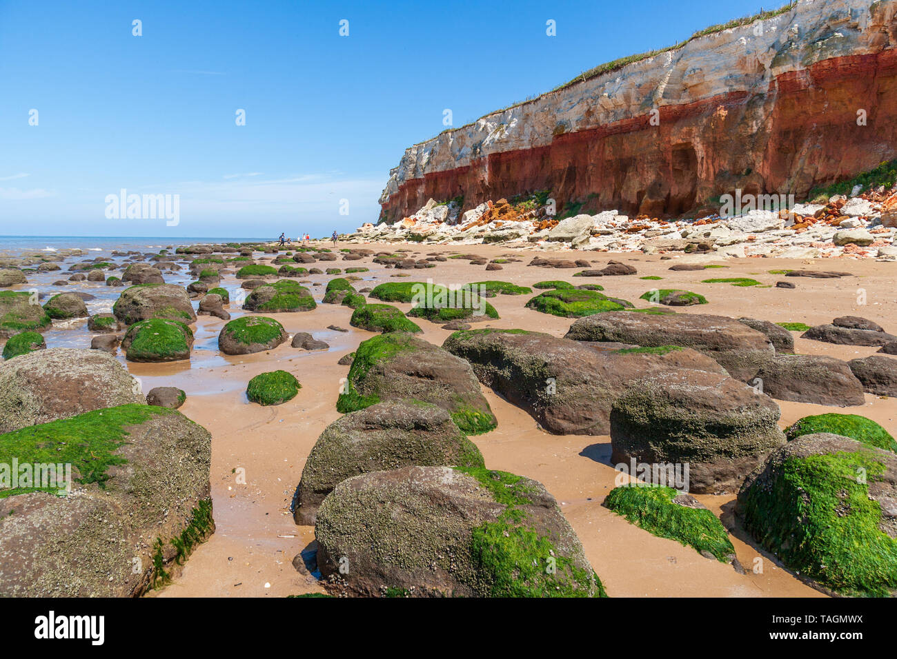 view of rocks and cliffs at hunstanton north norfolk uk early summer Stock Photo
