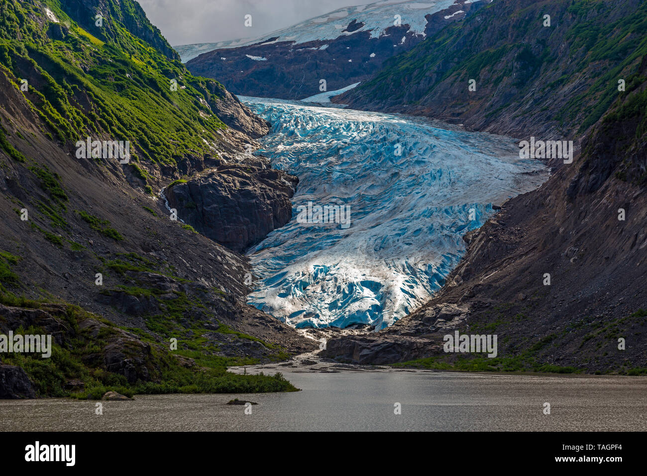 The Bear Glacier in the early morning near Hyder in Alaska, Kenai Fjords national park, United States of America, USA. Stock Photo