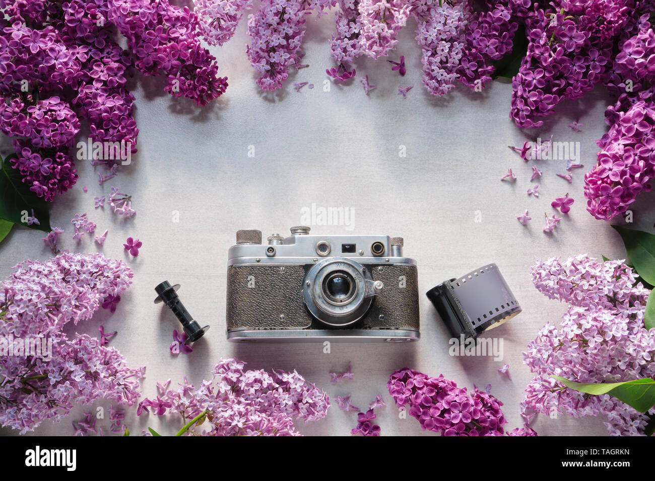 Retro camera, photo film rolls and border from lilac flowers. Top view. Copy space for text. Stock Photo