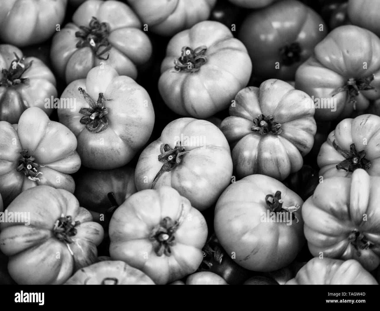 Black and white close up view on fresh organic meat tomatoes at a market Stock Photo