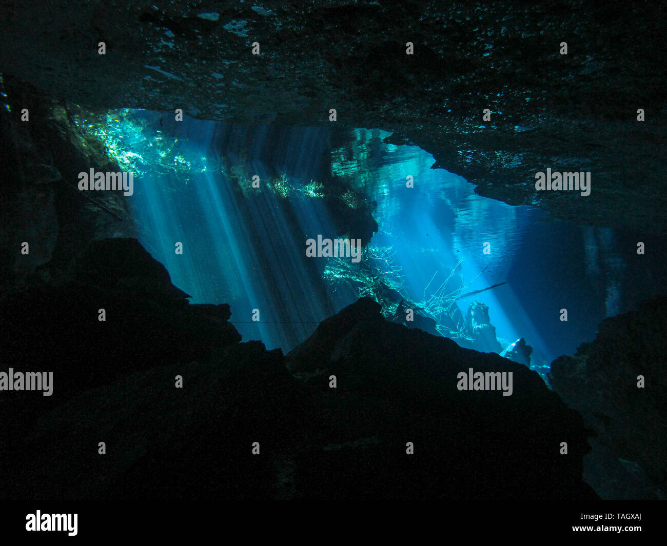 Reflection of light Underwater at cenote Chac Mool in the Riviera