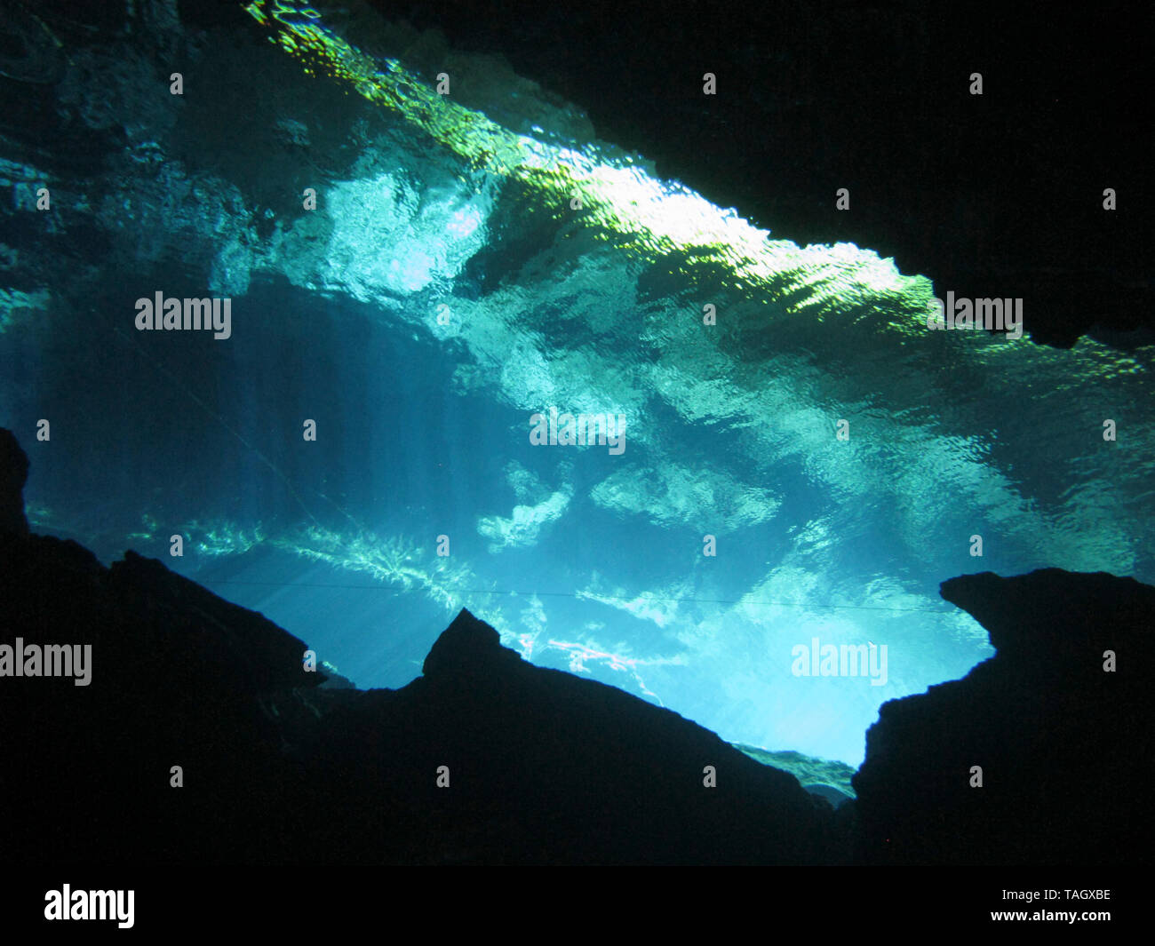 Underwater Light Ao3 Maya at Rita Poulin blog