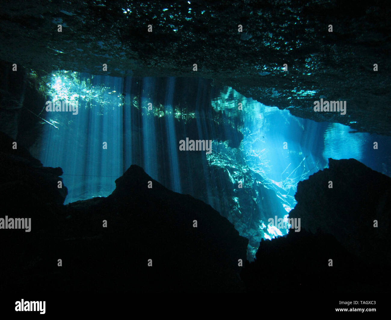 Reflection of light Underwater at cenote Chac Mool in the Riviera