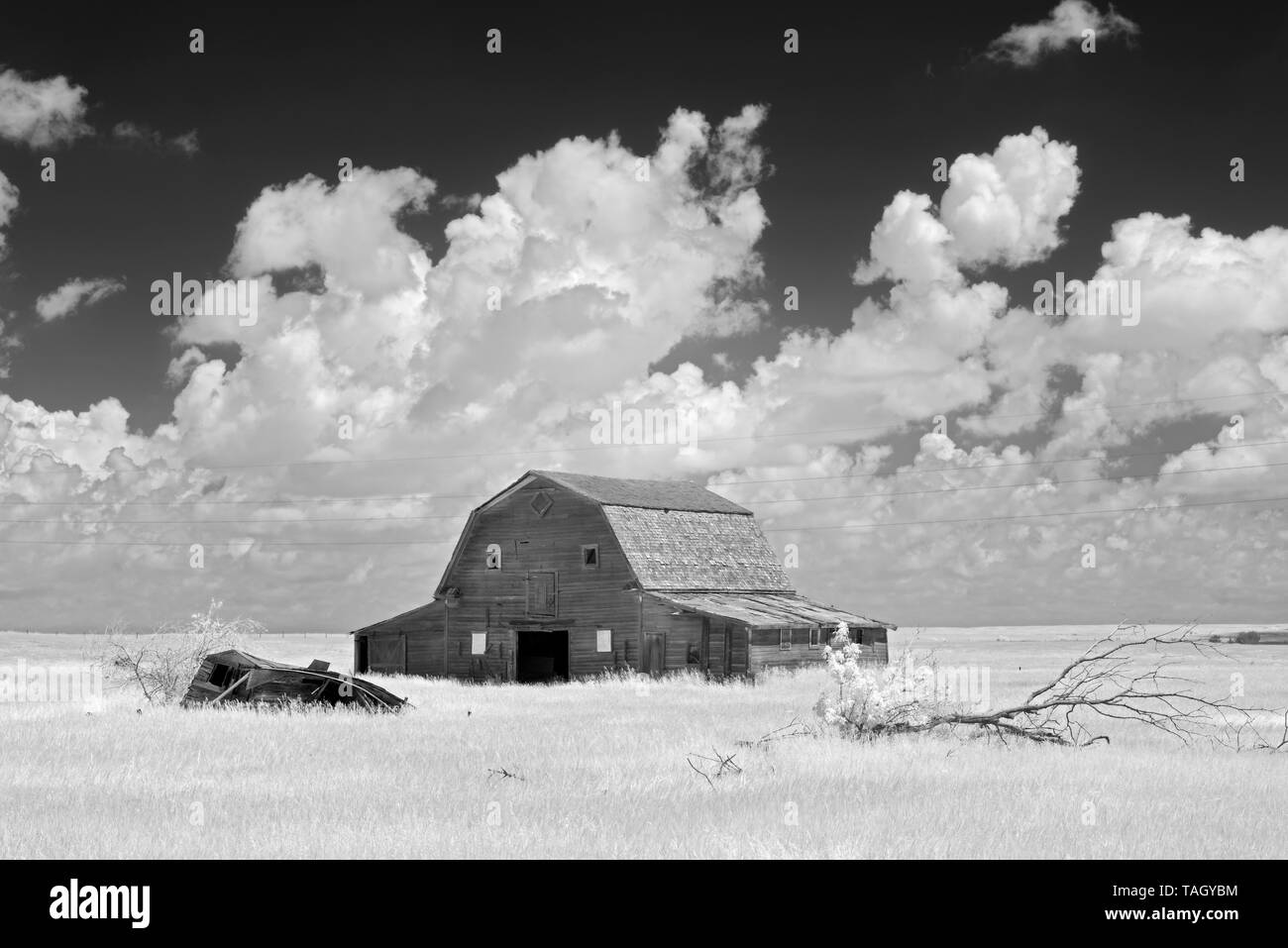 Old barn and clouds Oyen Alberta Canada Stock Photo Alamy
