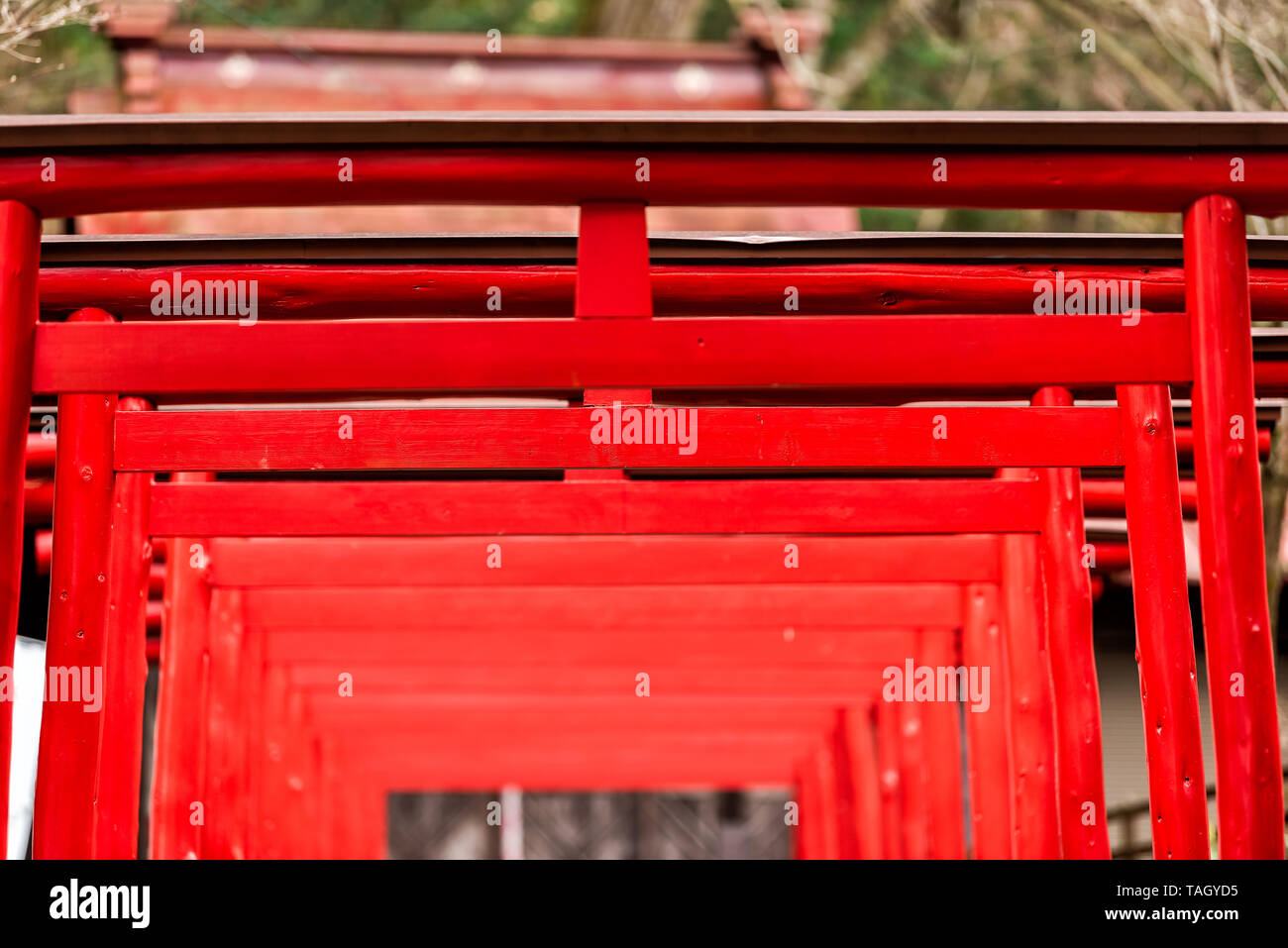Takayama inari shrine hires stock photography and images Alamy