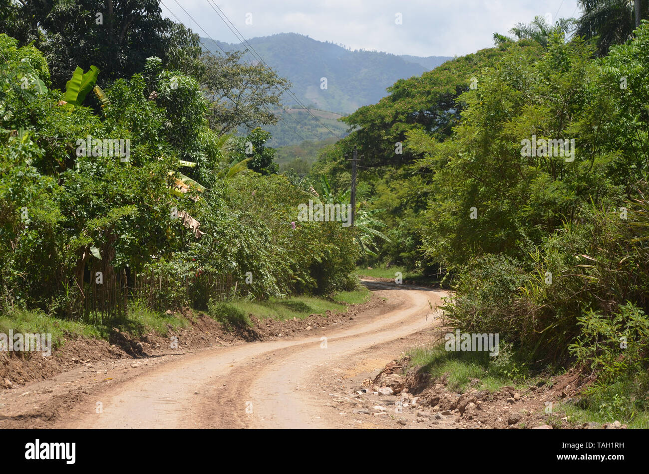 Fields and forested slopes in Guisa municipality (Granma province, Cuba), in the vicinity of Pico de la Bayamesa national park, southern Cuba Stock Photo