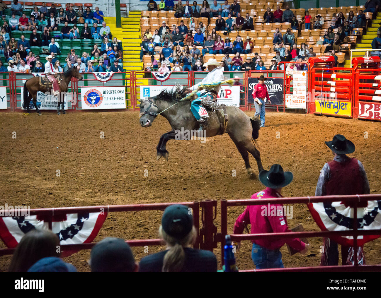 Professional horse sport hires stock photography and images Alamy