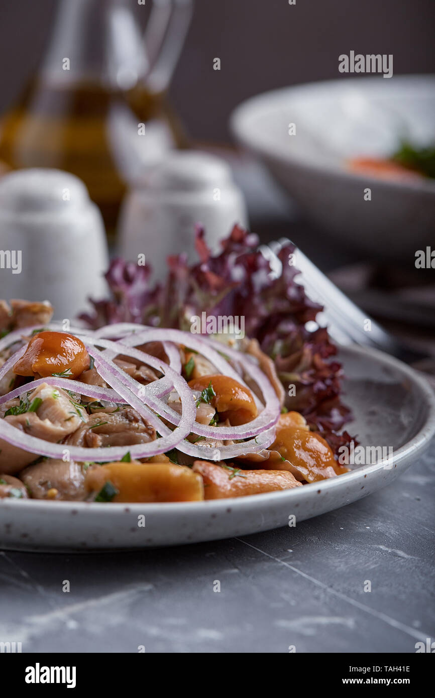 marinated mushrooms and onions in a plate on a grey background Stock
