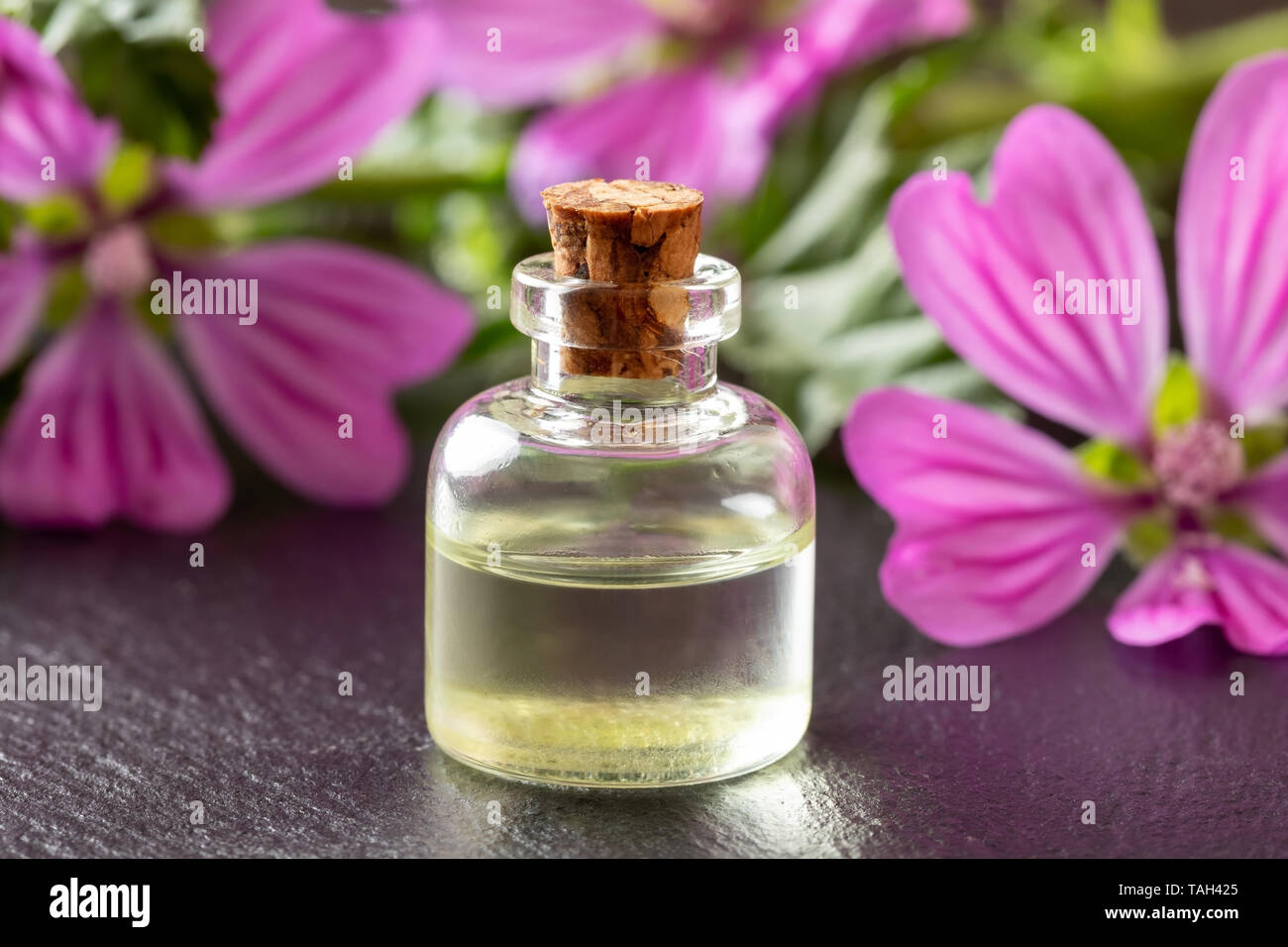 A bottle of common mallow essential oil with fresh blooming malva sylvestris plant in the background Stock Photo