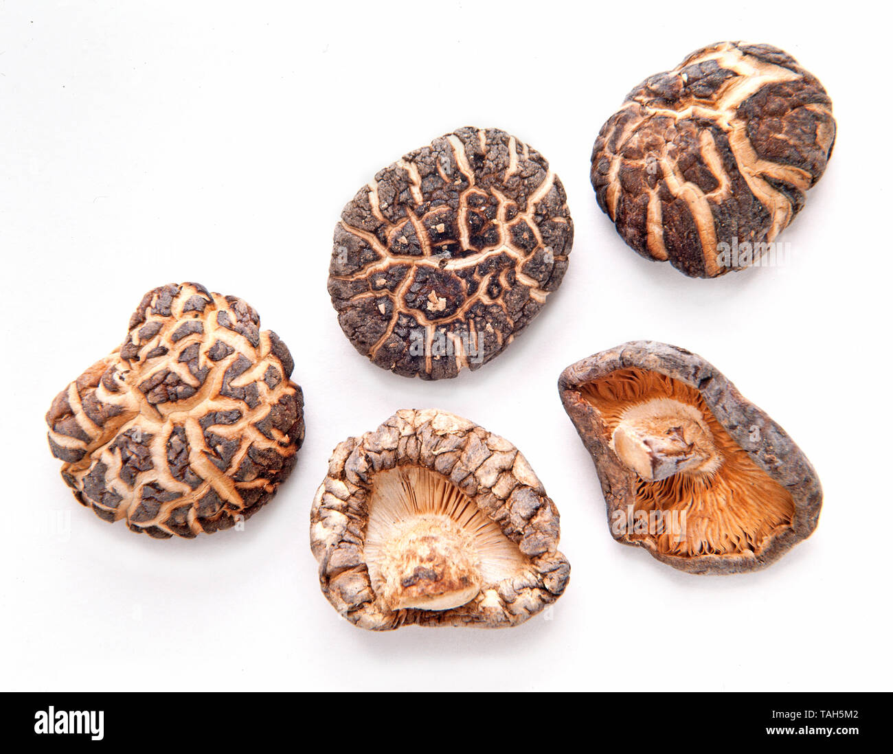 Dried Chinese shiitake mushrooms Stock Photo