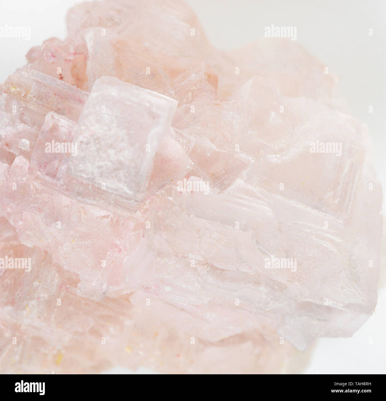 Pink crystals of halite mineral - natural pink table salt Stock Photo