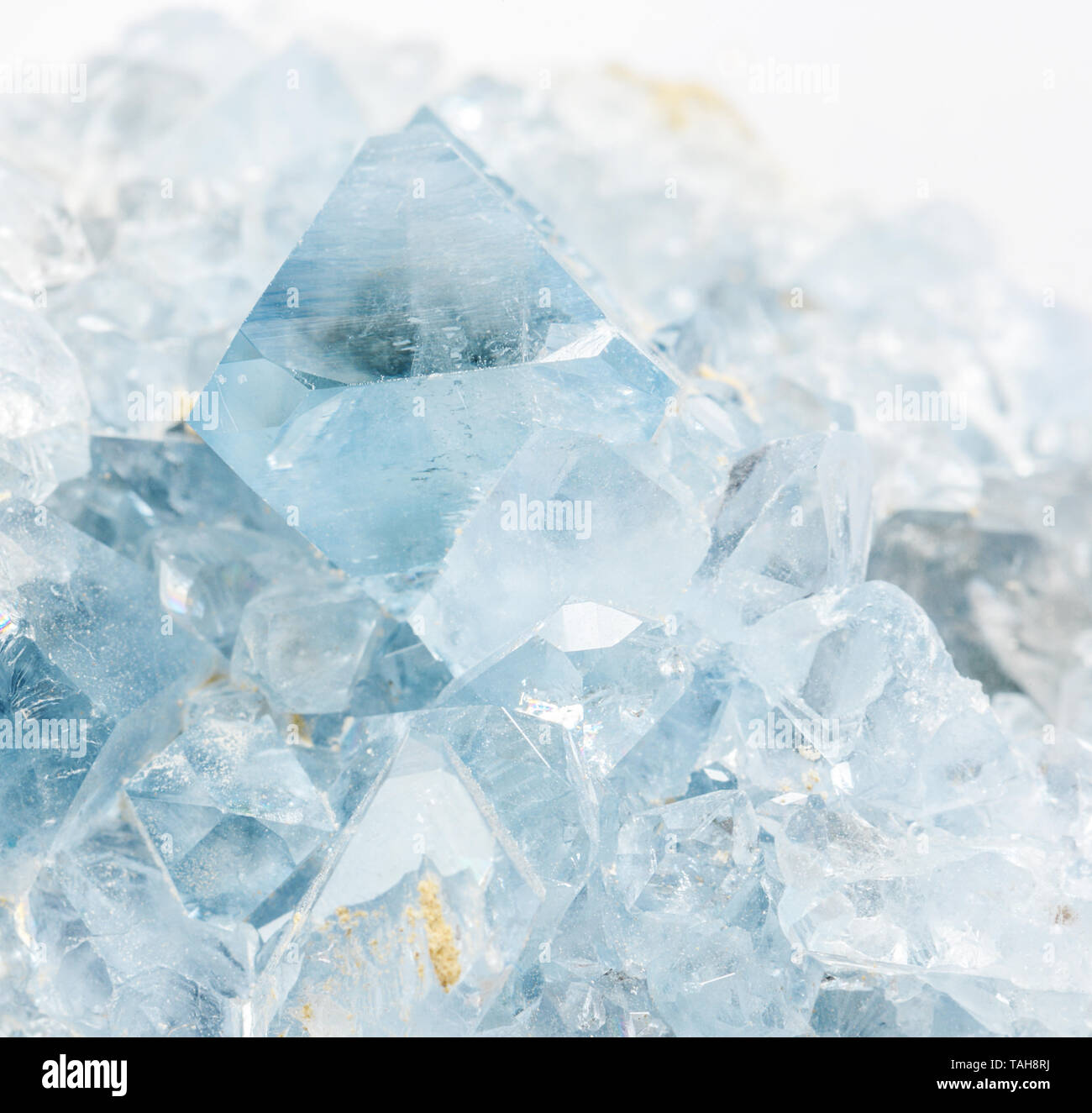 Beautiful light blue crystals of the collectible mineral celestite close-up. Celestine is the main ore of strontium Stock Photo