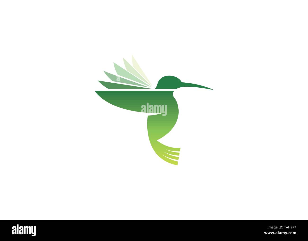 Creative Hummingbird Logo Stock Vector