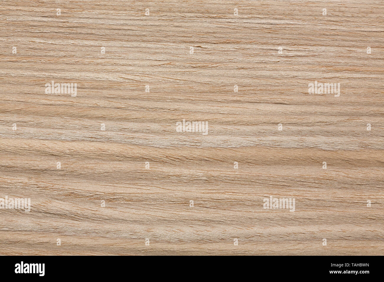 Texture of oak detail. Oak lacquered veneer. New texture bright
