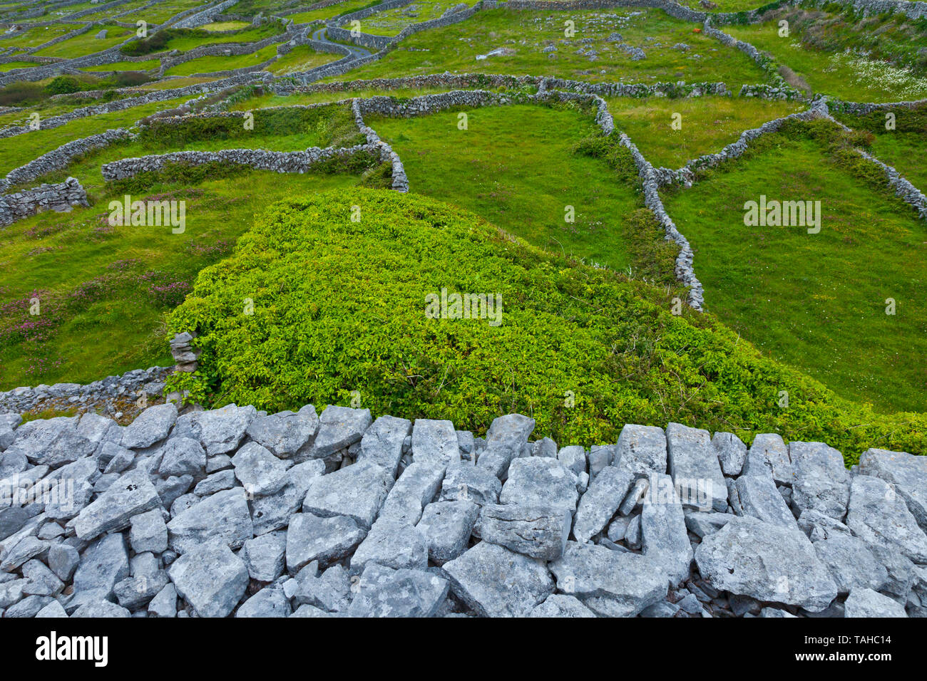 Dún Chonchúir Fort. Inishmaan Island - Inis Oirr. Aran Islands, Galway County, West Ireland, Europe Stock Photo
