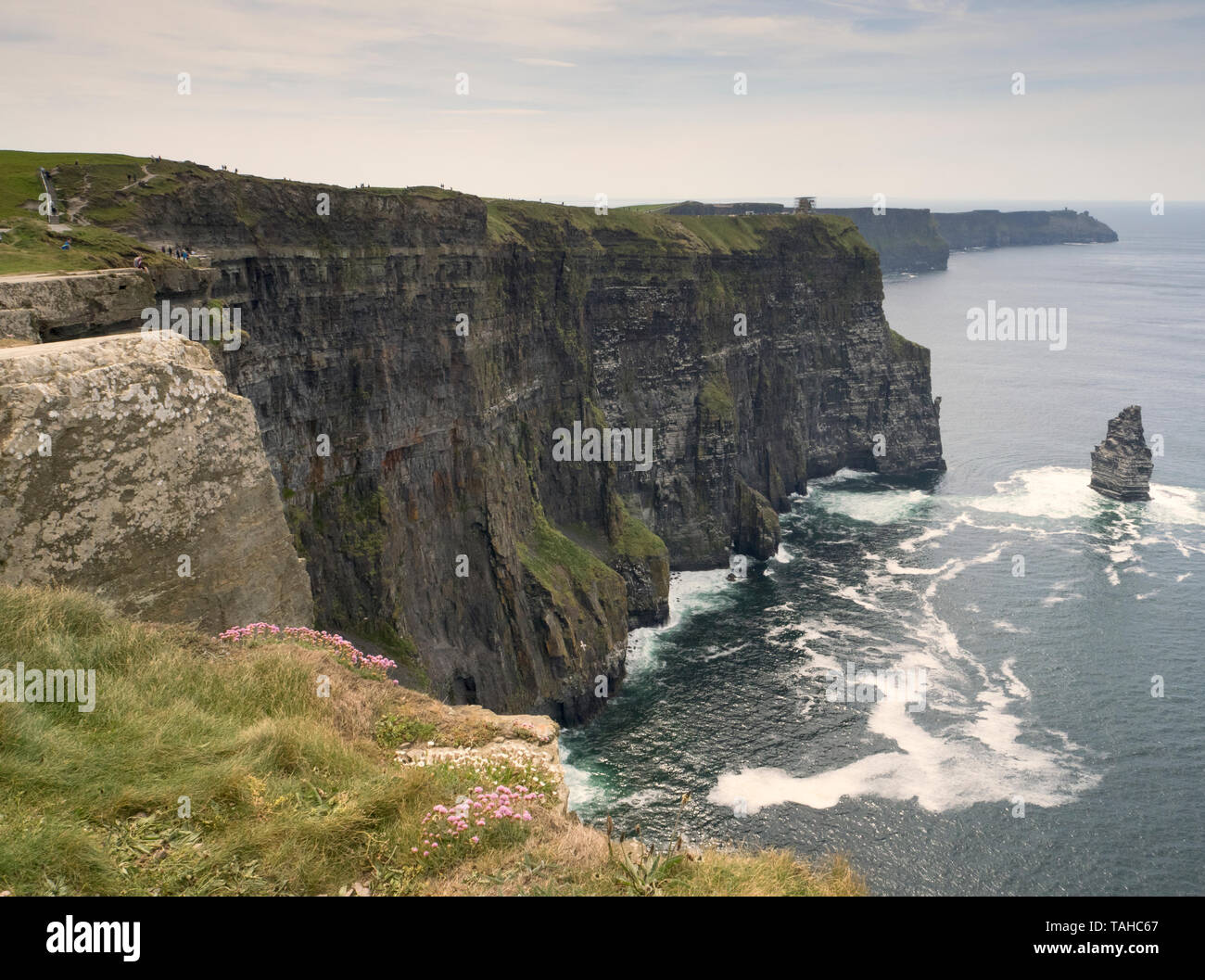 View along the Cliffs of Moher north of the Visitor Centre Stock Photo