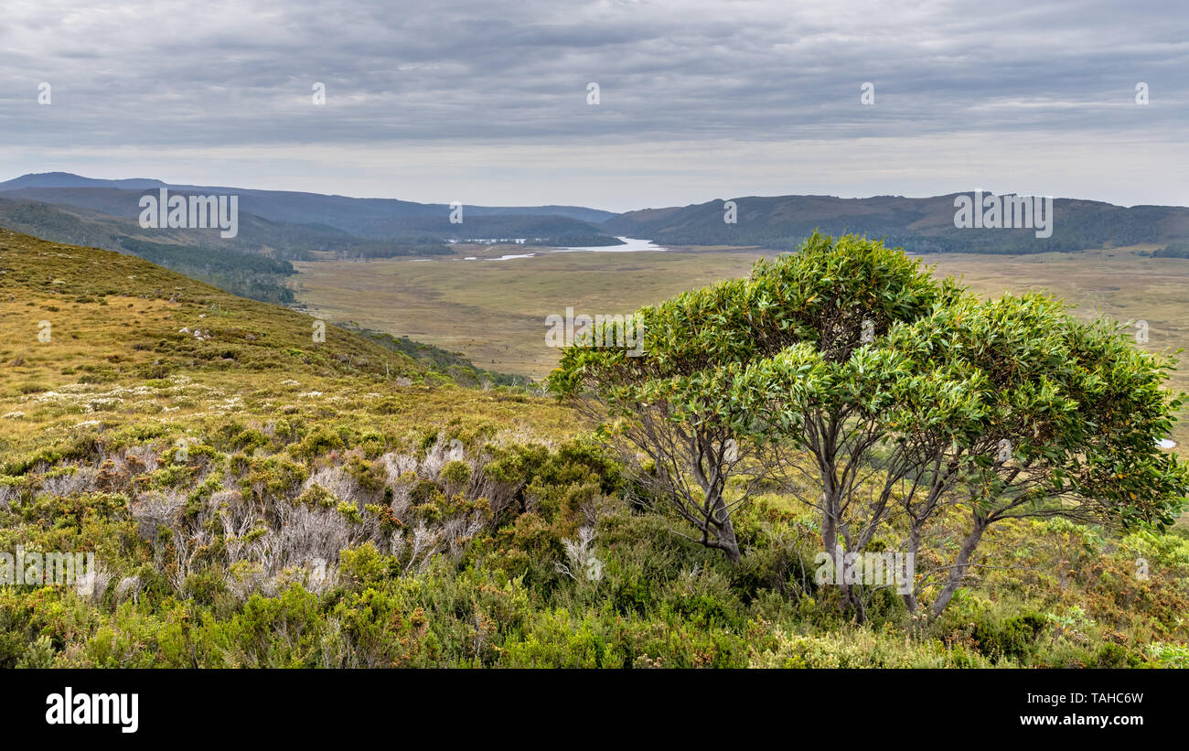 Vale of Belvoir, Tasmania Scenic View Stock Photo