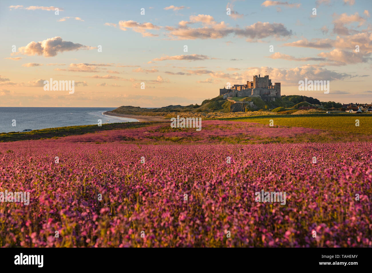 Bamburgh Castle, Northumberland, England, UK, Europe Stock Photo