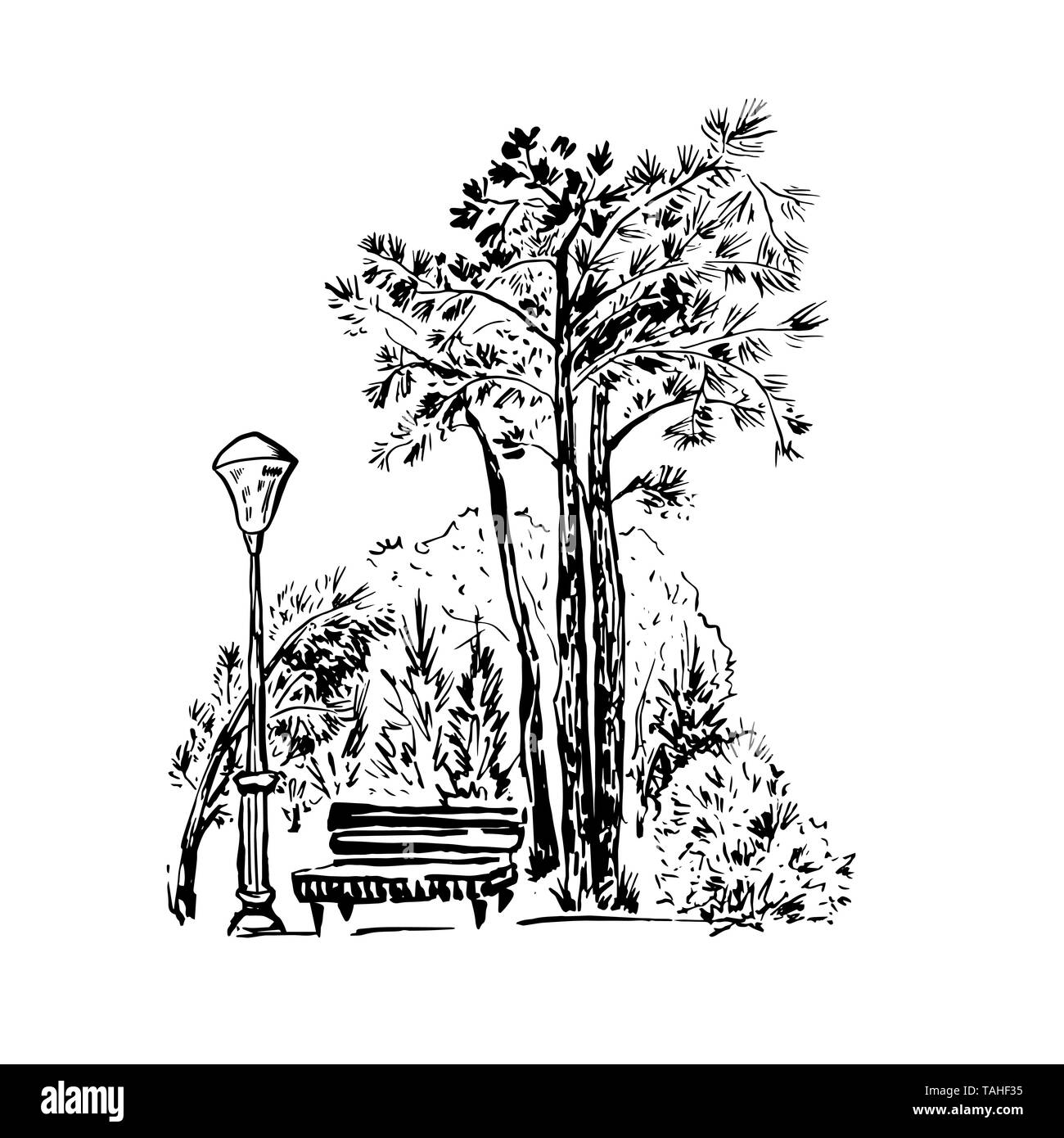 Park scene hand drawn ink illustration. Landscape ink pen sketch. Black and  white clipart. Realistic street bench, tree, lantern freehand drawing.  Isolated urban design element. Postcard sketch Stock Vector Image & Art -
