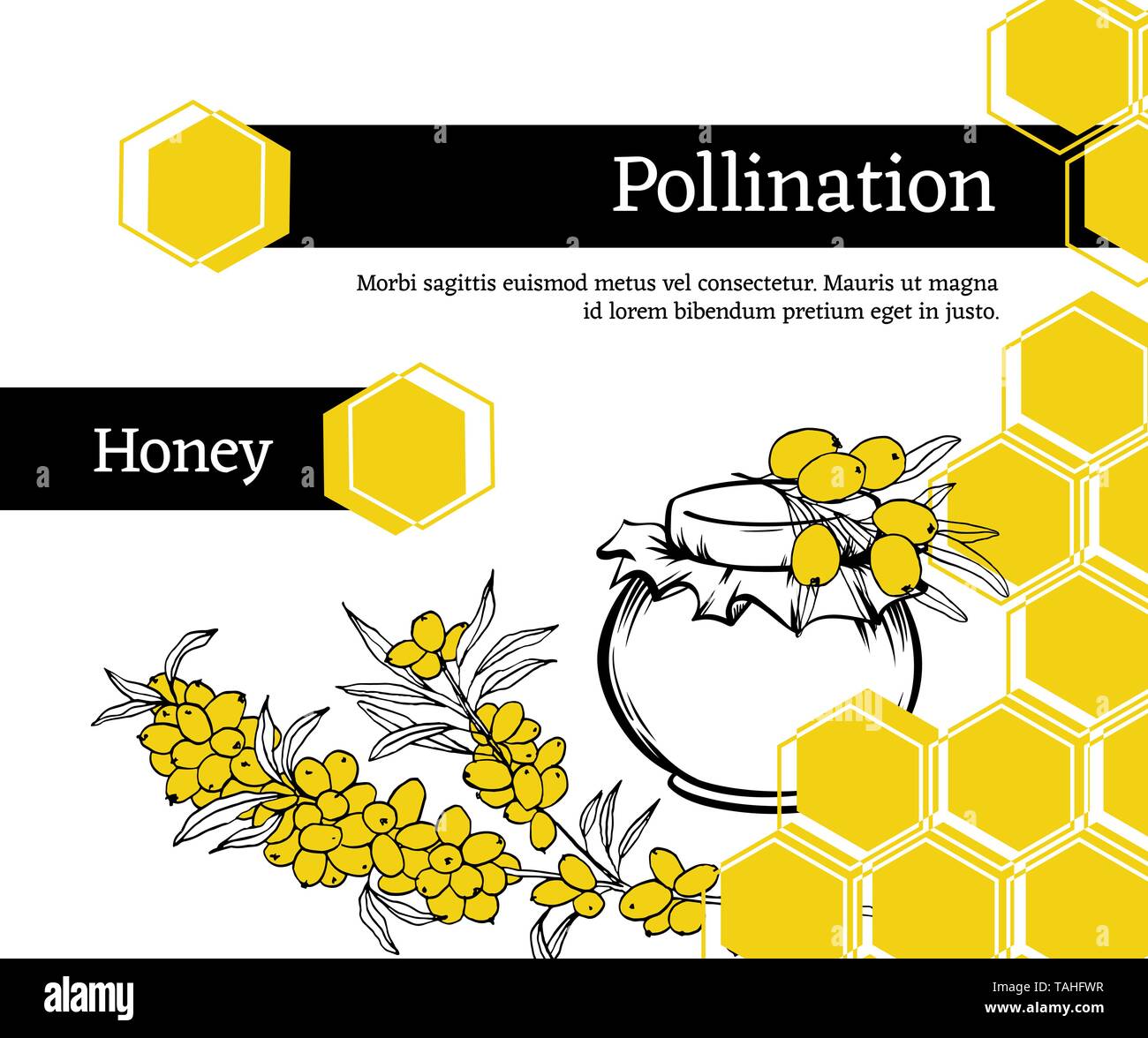 Photo inspiration: Visual Reference: Pollination Hand Drawn Vector Illustration Sea Buckthorn Plant Sketch