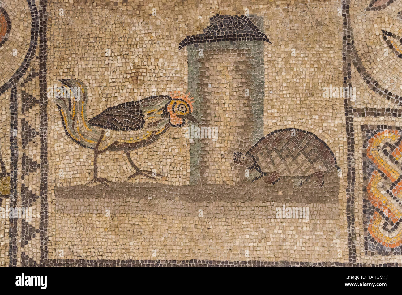 One of the famous mosaics of the Basilica of Aquileia (Italy) of the IV Century: the fight between the light (the cock) and the darkness (the turtle) Stock Photo