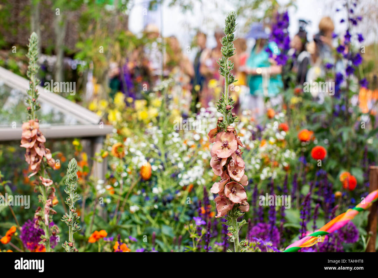 Chelsea Flower Show 2019 Stock Photo