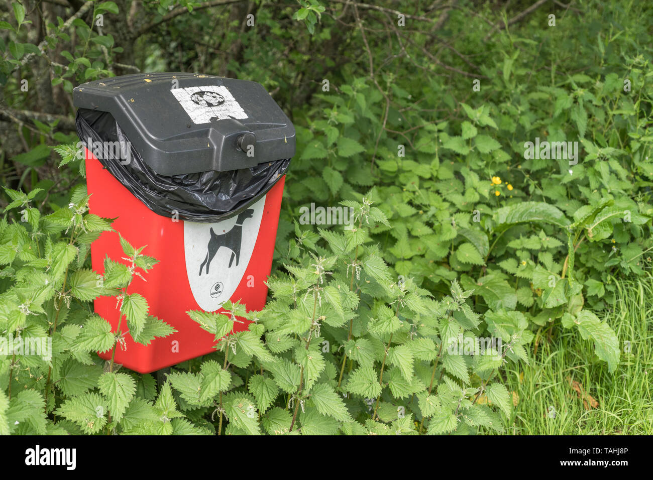Red Glasdon doggy waste bin in public park area. Concept responsible