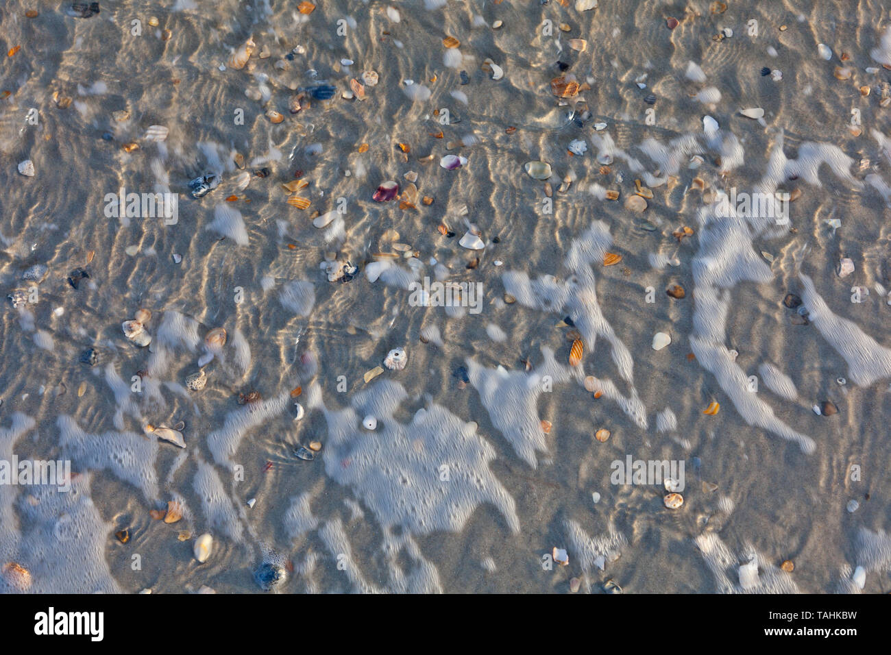 Broken shells and other items in the shallow water of a seashore Stock Photo